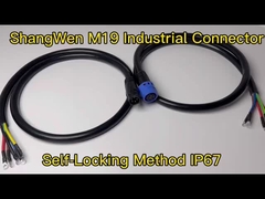 M19 Weiblicher Steckverbinder IP67 6-Pin-Wasserdichtverbindung Industrie